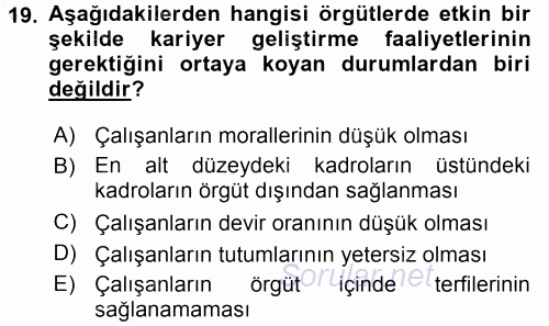 Performans ve Kariyer Yönetimi 2015 - 2016 Dönem Sonu Sınavı 19.Soru