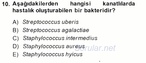 Veteriner Mikrobiyoloji ve Epidemiyoloji 2013 - 2014 Ara Sınavı 10.Soru