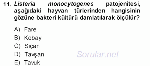 Veteriner Mikrobiyoloji ve Epidemiyoloji 2013 - 2014 Ara Sınavı 11.Soru