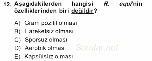 Veteriner Mikrobiyoloji ve Epidemiyoloji 2013 - 2014 Ara Sınavı 12.Soru