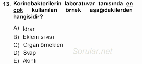 Veteriner Mikrobiyoloji ve Epidemiyoloji 2013 - 2014 Ara Sınavı 13.Soru