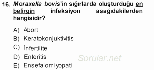 Veteriner Mikrobiyoloji ve Epidemiyoloji 2013 - 2014 Ara Sınavı 16.Soru