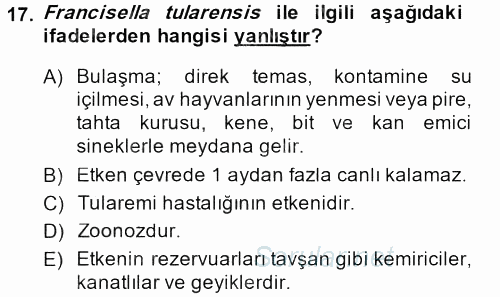 Veteriner Mikrobiyoloji ve Epidemiyoloji 2013 - 2014 Ara Sınavı 17.Soru