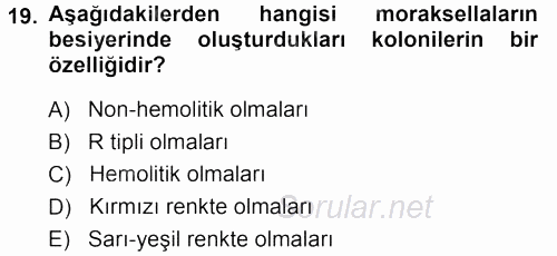 Veteriner Mikrobiyoloji ve Epidemiyoloji 2013 - 2014 Ara Sınavı 19.Soru