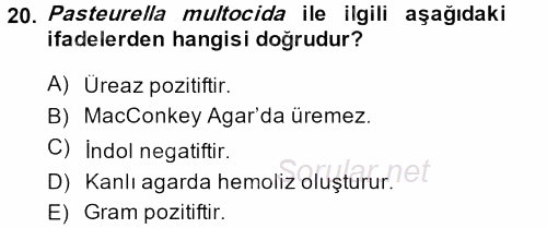 Veteriner Mikrobiyoloji ve Epidemiyoloji 2013 - 2014 Ara Sınavı 20.Soru