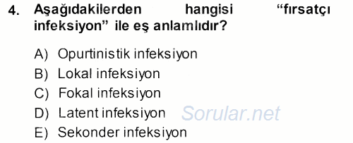Veteriner Mikrobiyoloji ve Epidemiyoloji 2013 - 2014 Ara Sınavı 4.Soru