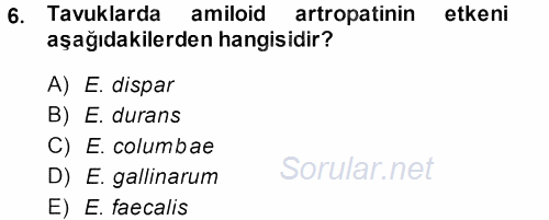Veteriner Mikrobiyoloji ve Epidemiyoloji 2013 - 2014 Ara Sınavı 6.Soru