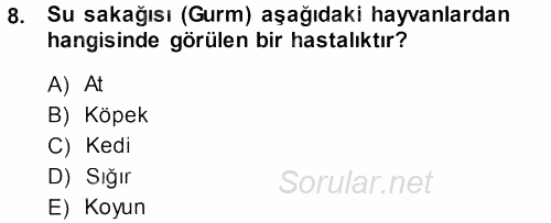 Veteriner Mikrobiyoloji ve Epidemiyoloji 2013 - 2014 Ara Sınavı 8.Soru