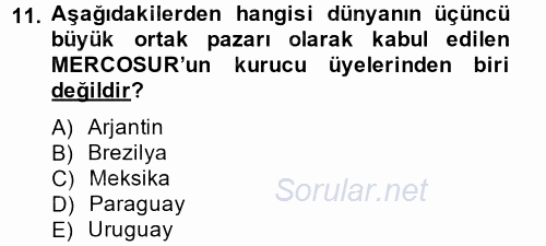 Uluslararası Örgütler 2013 - 2014 Dönem Sonu Sınavı 11.Soru