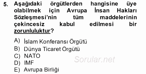 Uluslararası Örgütler 2013 - 2014 Dönem Sonu Sınavı 5.Soru