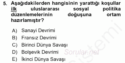 Uluslararası Sosyal Politika 2016 - 2017 3 Ders Sınavı 5.Soru