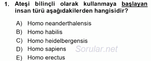 Uygarlık Tarihi 1 2015 - 2016 Ara Sınavı 1.Soru
