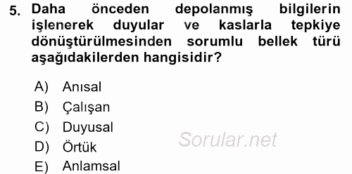 Yaşlı Psikolojisi 2017 - 2018 Dönem Sonu Sınavı 5.Soru