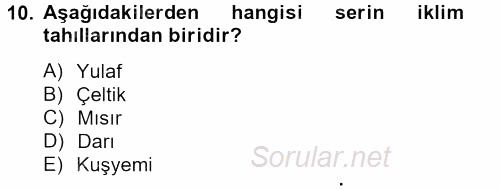 Tarla Bitkileri 1 2012 - 2013 Ara Sınavı 10.Soru