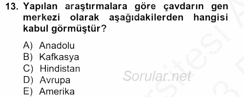 Tarla Bitkileri 1 2012 - 2013 Ara Sınavı 13.Soru