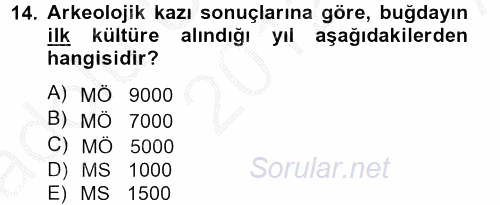 Tarla Bitkileri 1 2012 - 2013 Ara Sınavı 14.Soru