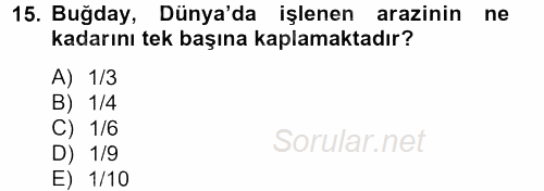 Tarla Bitkileri 1 2012 - 2013 Ara Sınavı 15.Soru