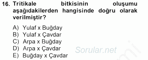 Tarla Bitkileri 1 2012 - 2013 Ara Sınavı 16.Soru