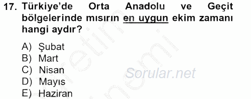 Tarla Bitkileri 1 2012 - 2013 Ara Sınavı 17.Soru