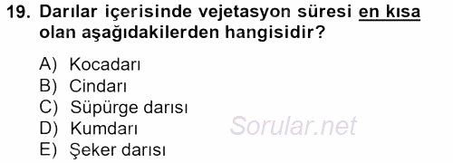 Tarla Bitkileri 1 2012 - 2013 Ara Sınavı 19.Soru