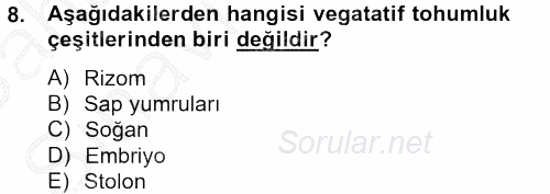 Tarla Bitkileri 1 2012 - 2013 Ara Sınavı 8.Soru