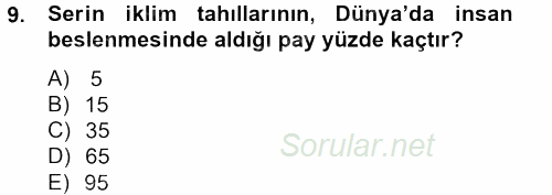 Tarla Bitkileri 1 2012 - 2013 Ara Sınavı 9.Soru