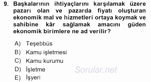 Kamu Özel Kesim Yapısı Ve İlişkileri 2016 - 2017 Ara Sınavı 9.Soru