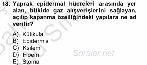 Toprak Bilgisi ve Bitki Besleme 2014 - 2015 Dönem Sonu Sınavı 18.Soru