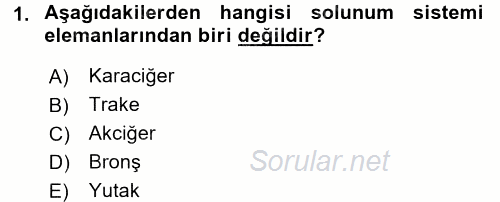 Temel İlk Yardım Bilgisi 2017 - 2018 Ara Sınavı 1.Soru