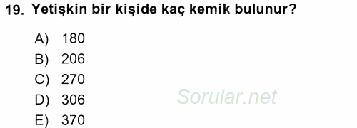 Temel İlk Yardım Bilgisi 2017 - 2018 Ara Sınavı 19.Soru