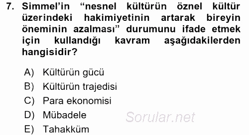 Klasik Sosyoloji Tarihi 2016 - 2017 Dönem Sonu Sınavı 7.Soru