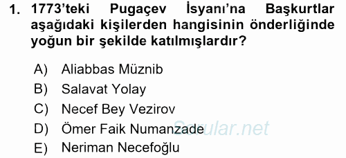 XIX. Yüzyıl Türk Dünyası 2015 - 2016 Ara Sınavı 1.Soru