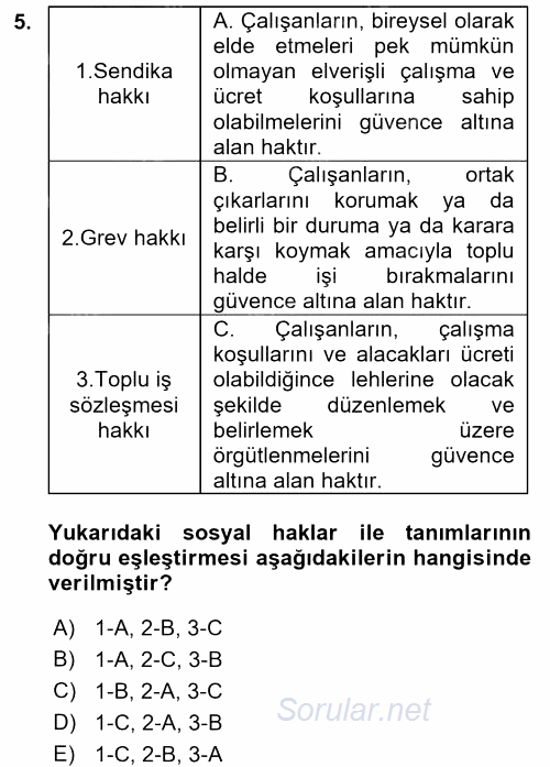 Temel İnsan Hakları Bilgisi 1 2017 - 2018 Dönem Sonu Sınavı 5.Soru