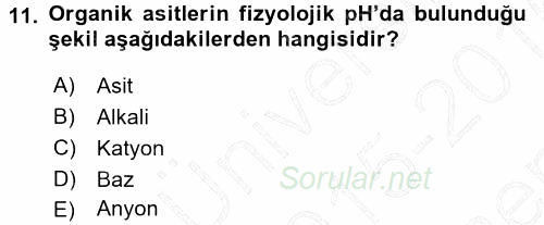 Hücre Kimyası 2015 - 2016 Dönem Sonu Sınavı 11.Soru