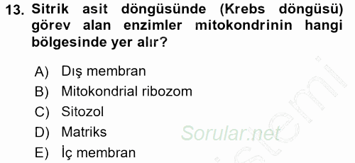 Hücre Kimyası 2015 - 2016 Dönem Sonu Sınavı 13.Soru