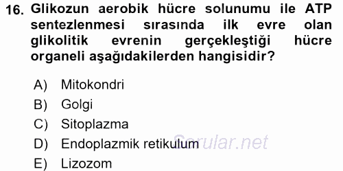 Hücre Kimyası 2015 - 2016 Dönem Sonu Sınavı 16.Soru