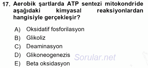 Hücre Kimyası 2015 - 2016 Dönem Sonu Sınavı 17.Soru