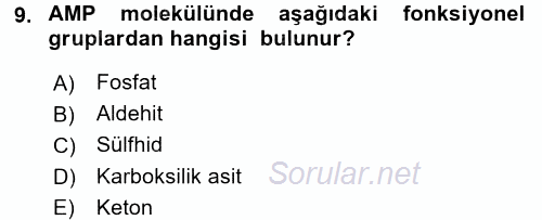 Hücre Kimyası 2015 - 2016 Dönem Sonu Sınavı 9.Soru