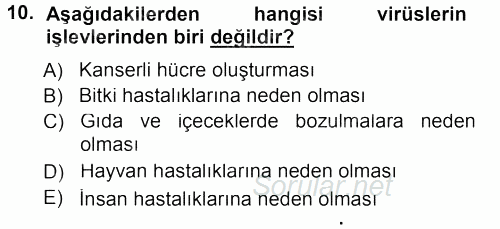 Genel Biyoloji 1 2013 - 2014 Tek Ders Sınavı 10.Soru