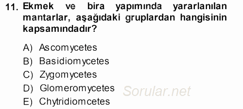Genel Biyoloji 1 2013 - 2014 Tek Ders Sınavı 11.Soru