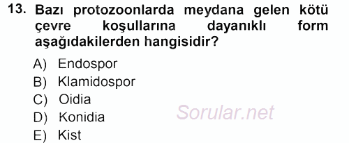 Genel Biyoloji 1 2013 - 2014 Tek Ders Sınavı 13.Soru