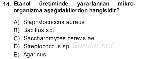 Genel Biyoloji 1 2013 - 2014 Tek Ders Sınavı 14.Soru