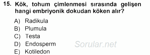 Genel Biyoloji 1 2013 - 2014 Tek Ders Sınavı 15.Soru