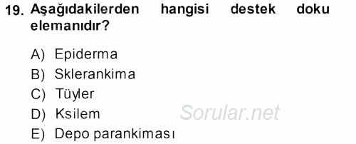 Genel Biyoloji 1 2013 - 2014 Tek Ders Sınavı 19.Soru