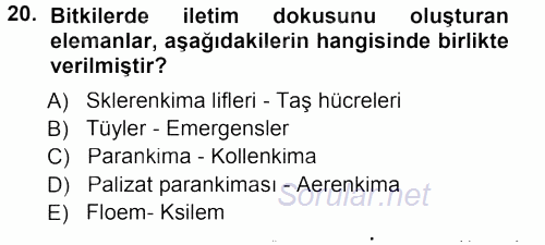 Genel Biyoloji 1 2013 - 2014 Tek Ders Sınavı 20.Soru