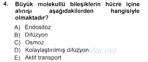 Genel Biyoloji 1 2013 - 2014 Tek Ders Sınavı 4.Soru