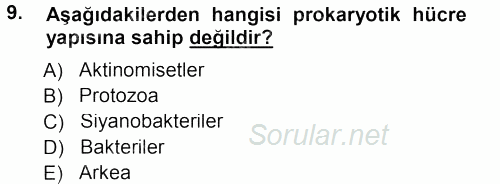 Genel Biyoloji 1 2013 - 2014 Tek Ders Sınavı 9.Soru