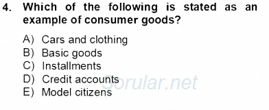 İleri Okuma Ve Yazma Becerileri 2 2012 - 2013 Dönem Sonu Sınavı 4.Soru