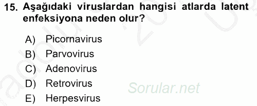 Viroloji 2016 - 2017 3 Ders Sınavı 15.Soru