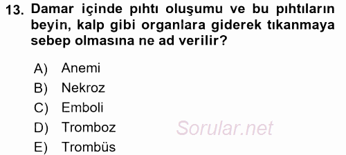 Temel İlk Yardım Bilgisi 2016 - 2017 Ara Sınavı 13.Soru